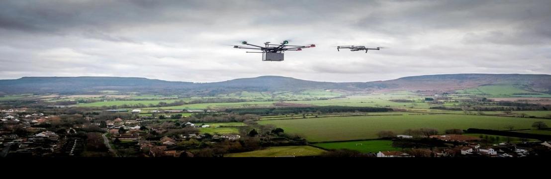 Aerial  Ashes