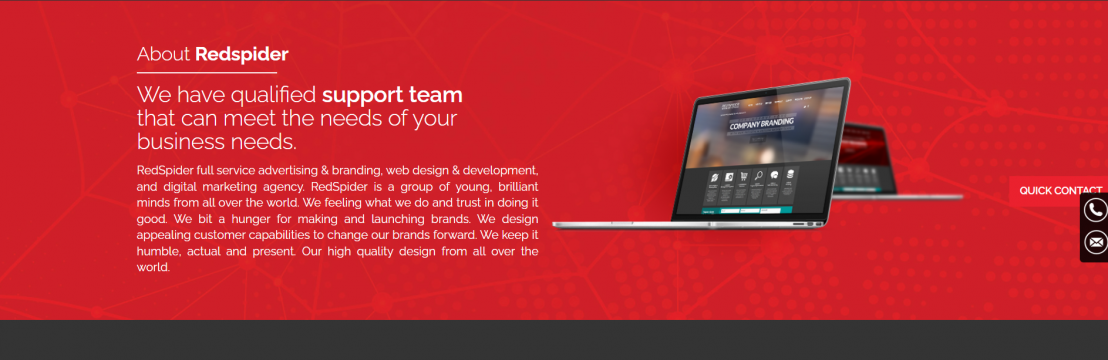 RedSpider Design Technology LLC