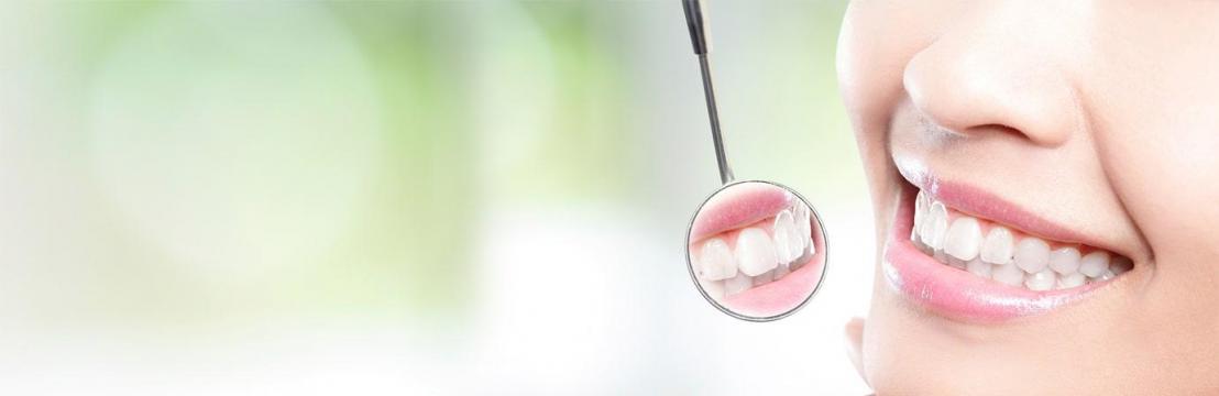 Shenzhen Spring Dental Laboratory