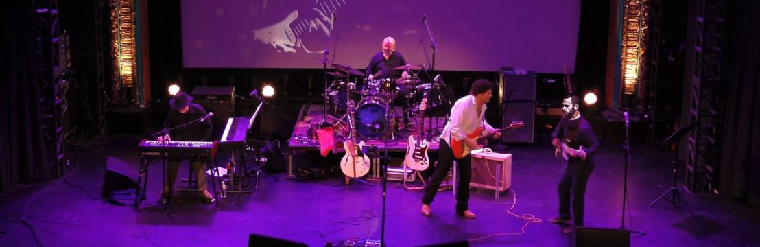 Wolfmans School Of Music