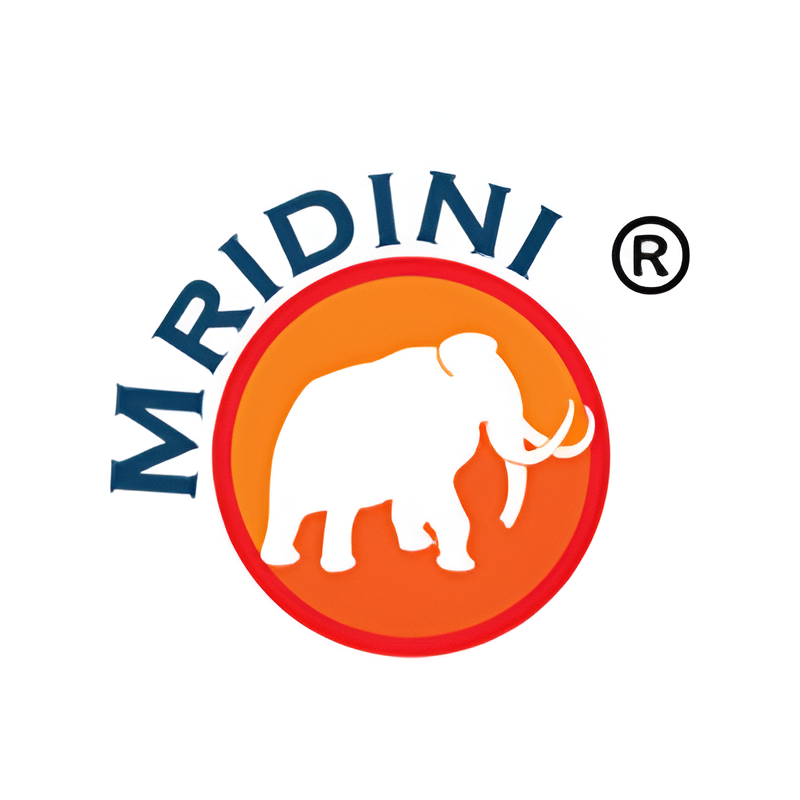 Mridini Castings