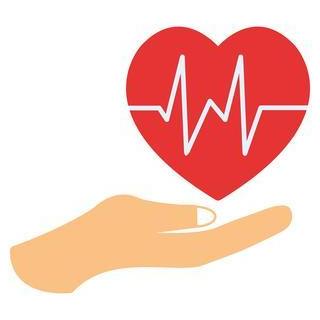 Healthyvibes Usa