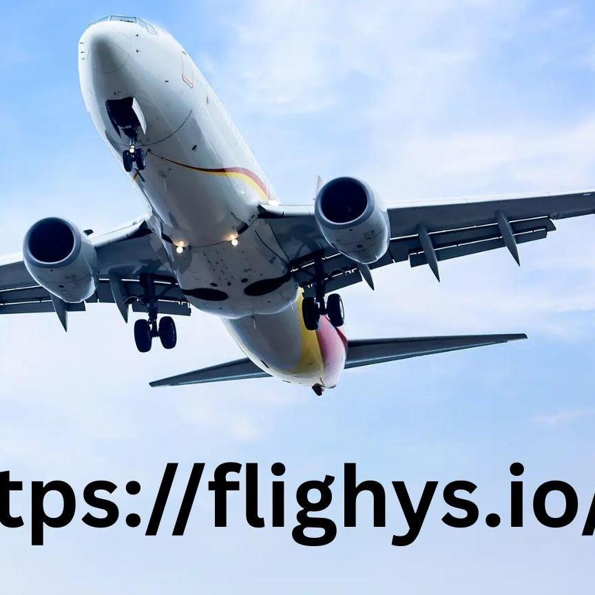 Flighys 333